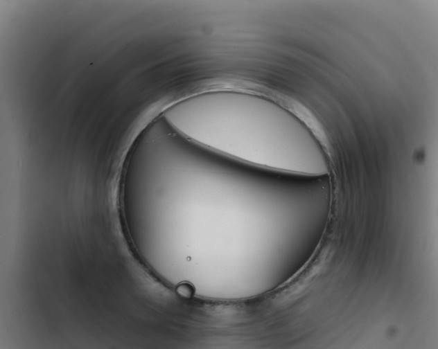 X0000103450946200809121122