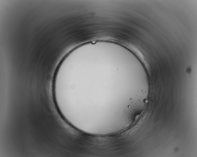 X0000103450947200809121122