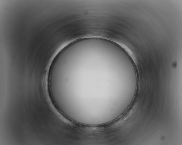 X0000103450949200809121122