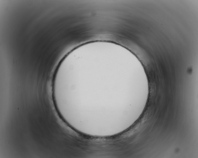 X0000103450950200809121122