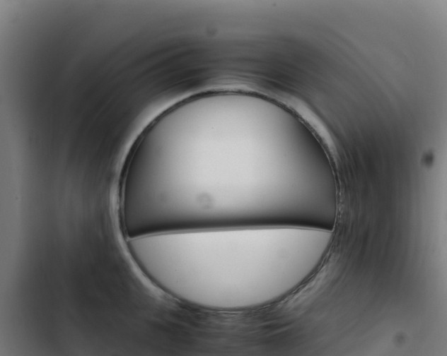 X0000103450951200809121122