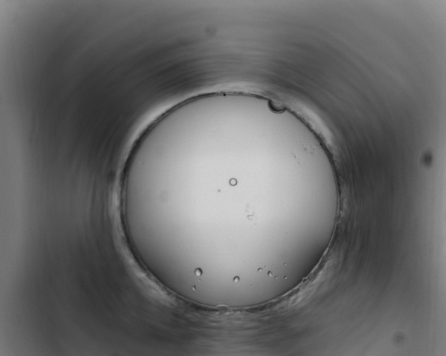 X0000103450952200809121122