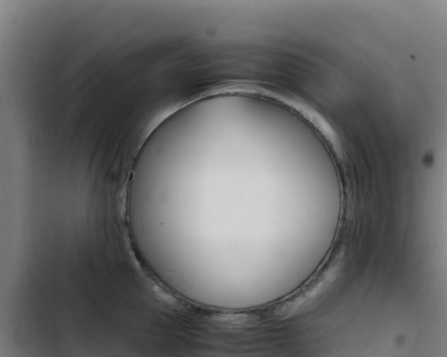 X0000103450953200809121122