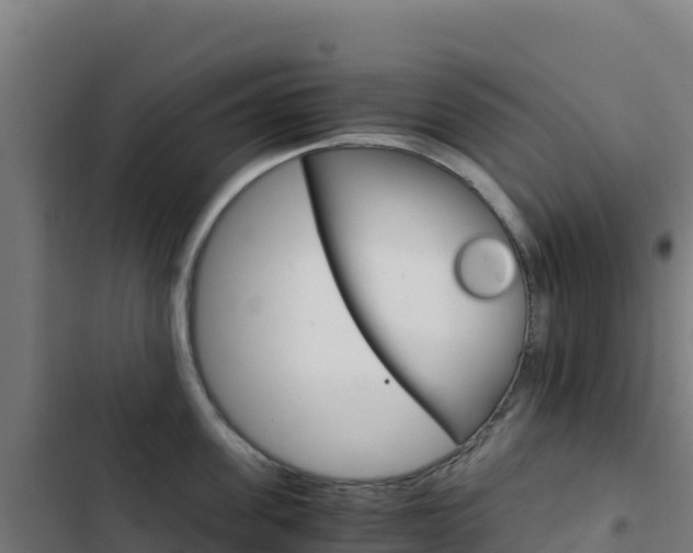 X0000103450955200809121122