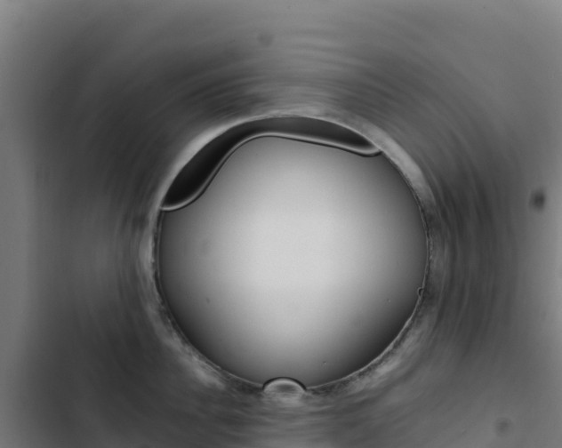 X0000103450956200809121122