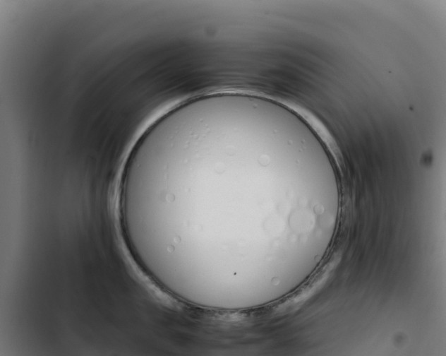 X0000103450957200809121122