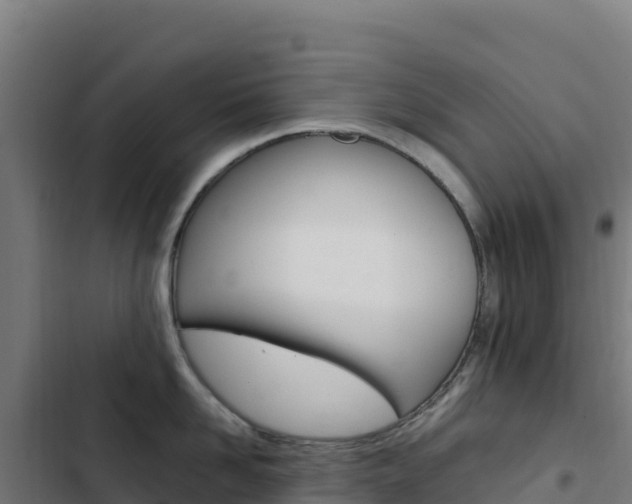X0000103450958200809121122