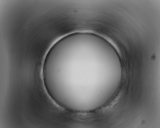 X0000103450959200809121122
