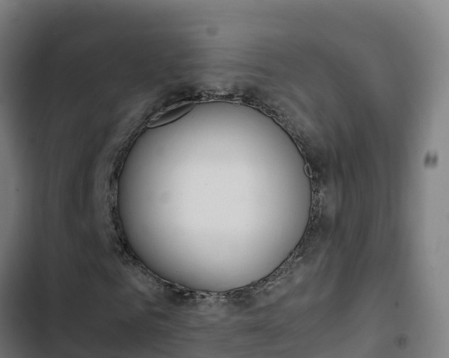 X0000103450961200809121122