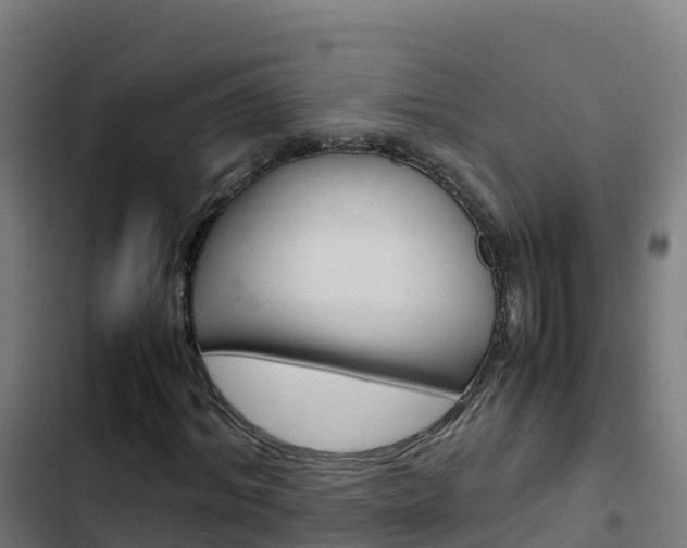 X0000103450964200809121122