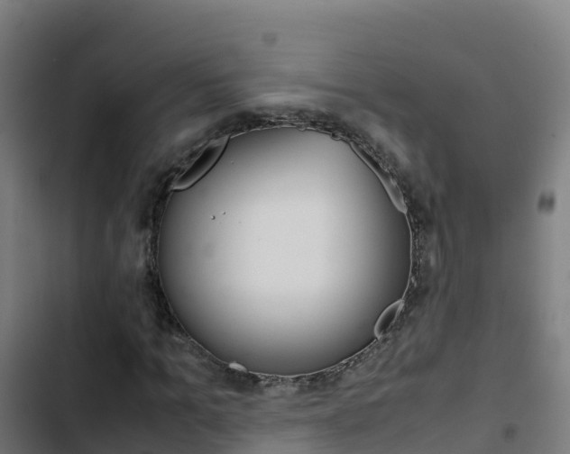 X0000103450965200809121122