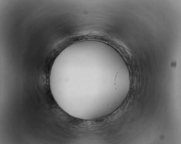 X0000103450966200809121122