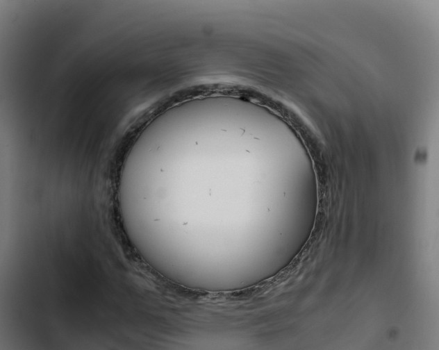 X0000103450967200809121122