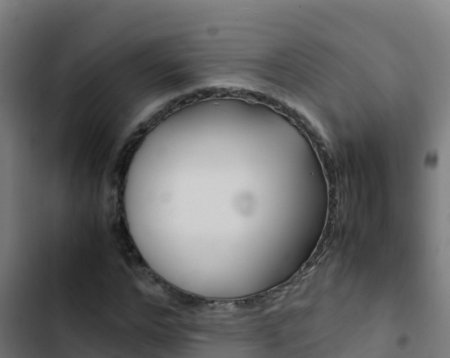 X0000103450968200809121122