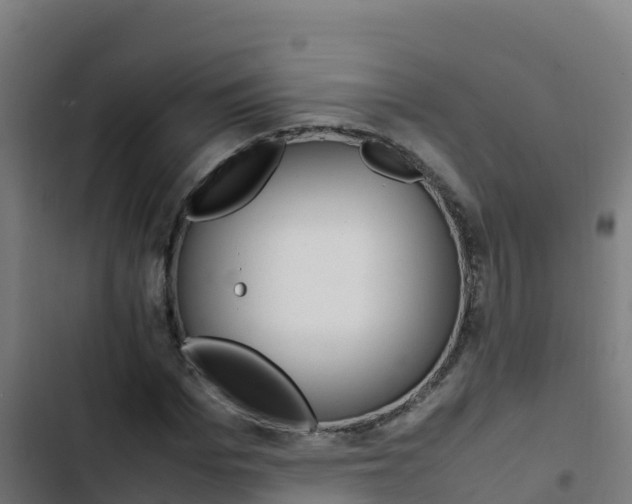 X0000103450969200809121122