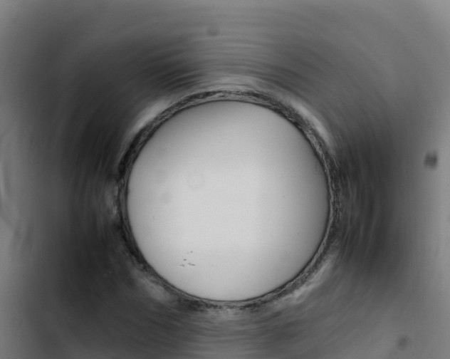 X0000103450970200809121122