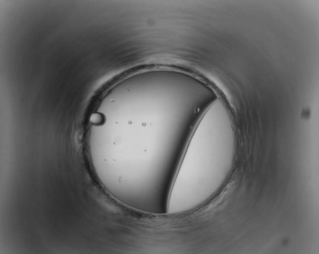 X0000103450971200809121122