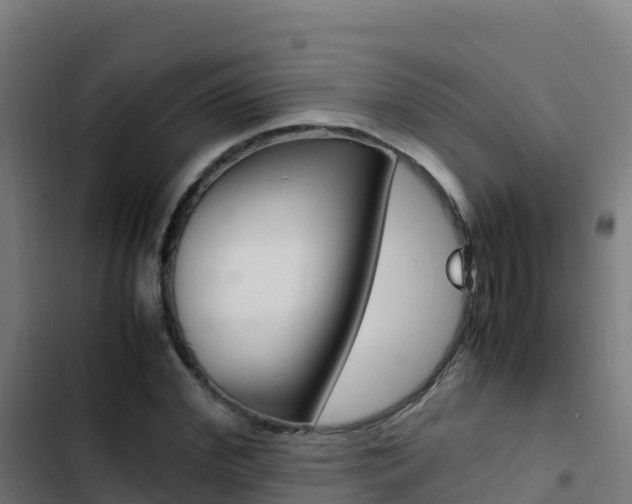 X0000103450972200809121121