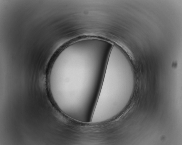 X0000103450976200809121121