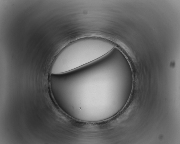 X0000103450977200809121121