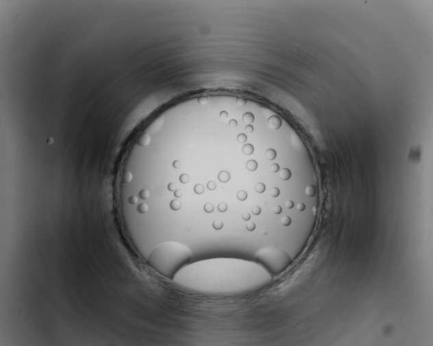 X0000103450978200809121121