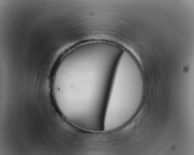X0000103450979200809121121