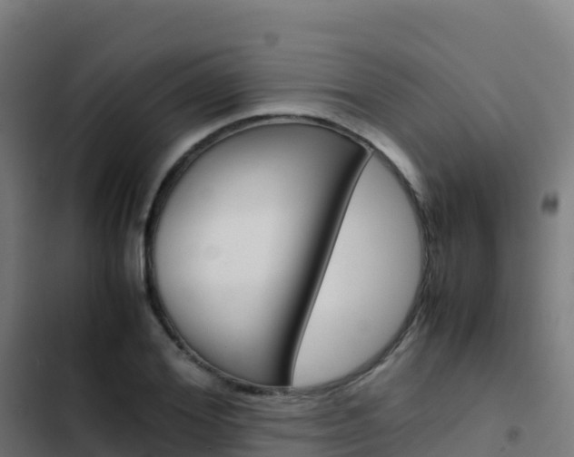 X0000103450980200809121121