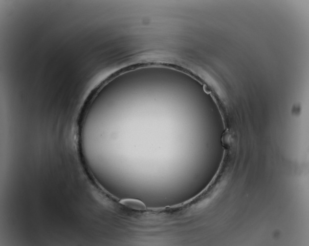 X0000103450981200809121121