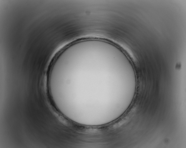 X0000103450982200809121121