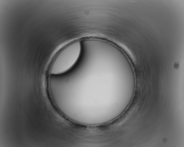 X0000103450983200809121121
