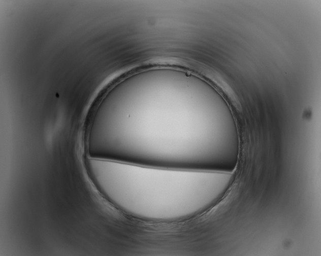 X0000103450984200809121121