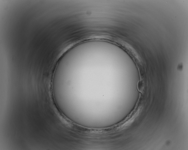 X0000103450985200809121121