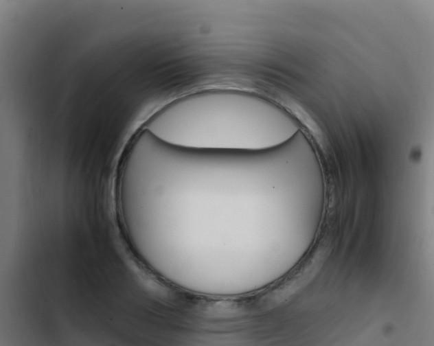 X0000103450986200809121121