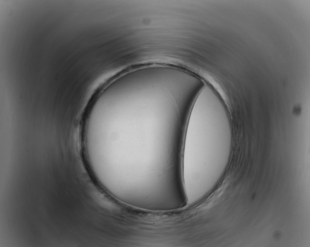 X0000103450987200809121121