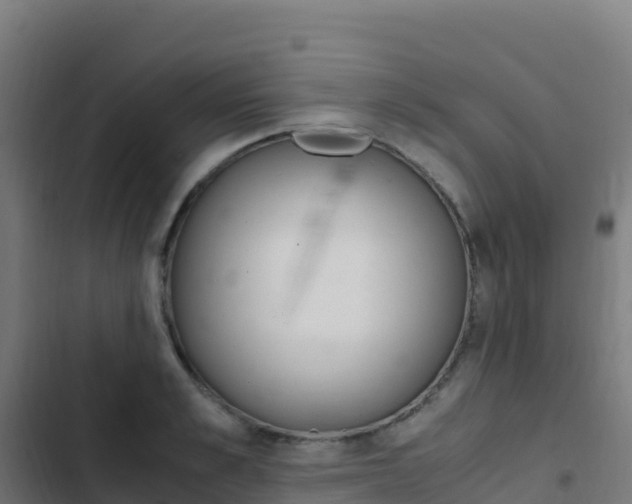 X0000103450989200809121121
