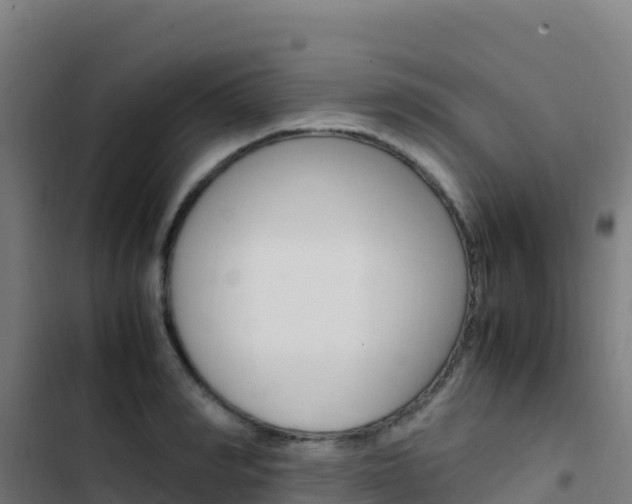 X0000103450990200809121121