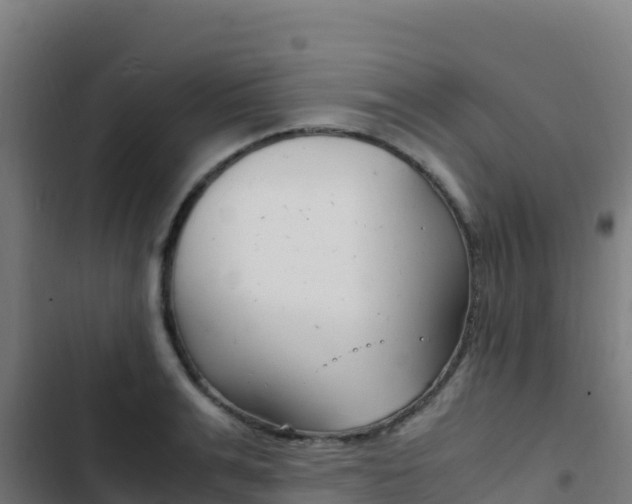 X0000103450991200809121121