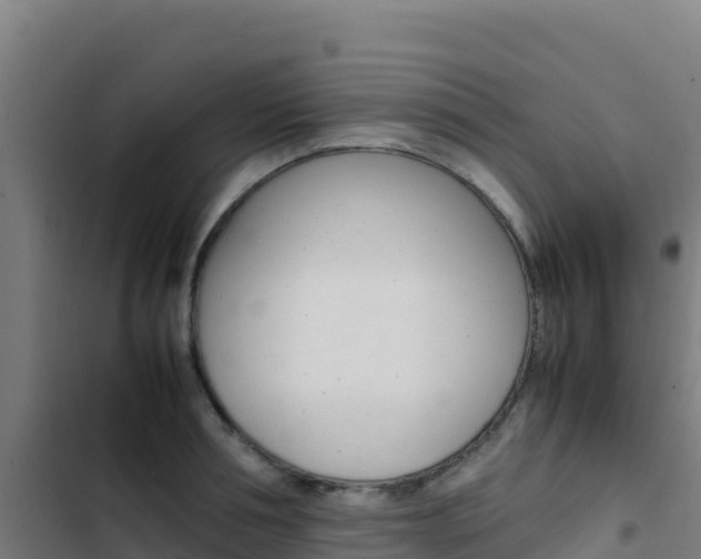 X0000103450994200809121121