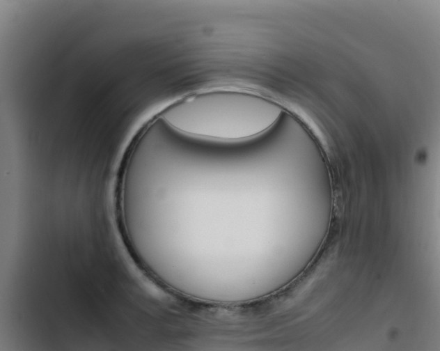 X0000103450995200809121121