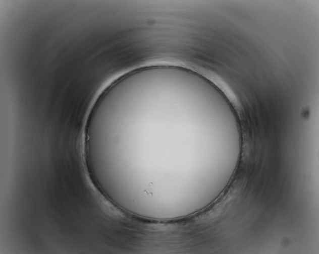 X0000103450996200809121121