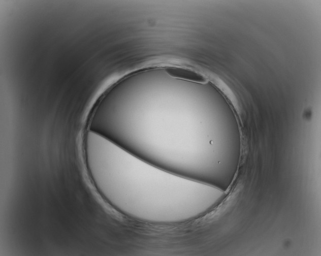 X0000103450997200809121121