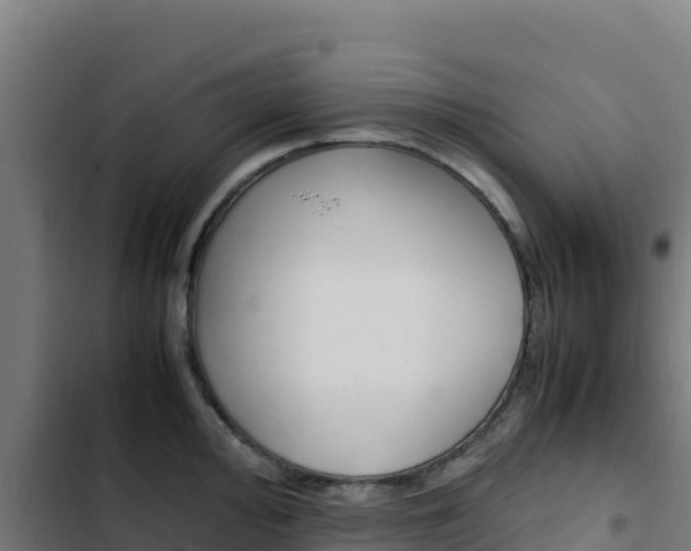 X0000103451000200809121121