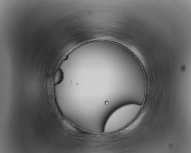 X0000103451001200809121121