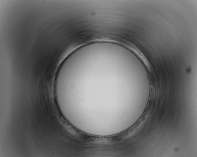 X0000103451002200809121121