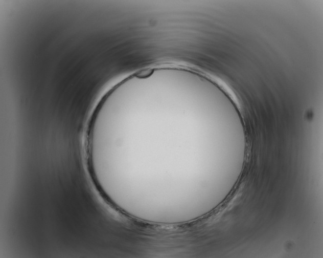 X0000103451003200809121121