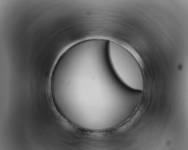 X0000103451004200809121121