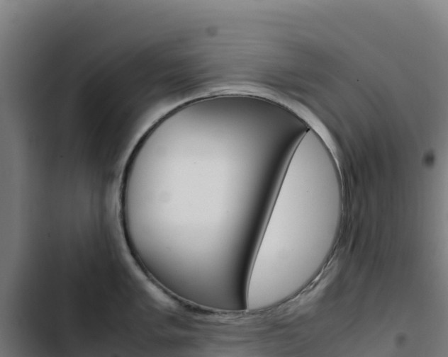 X0000103451005200809121121