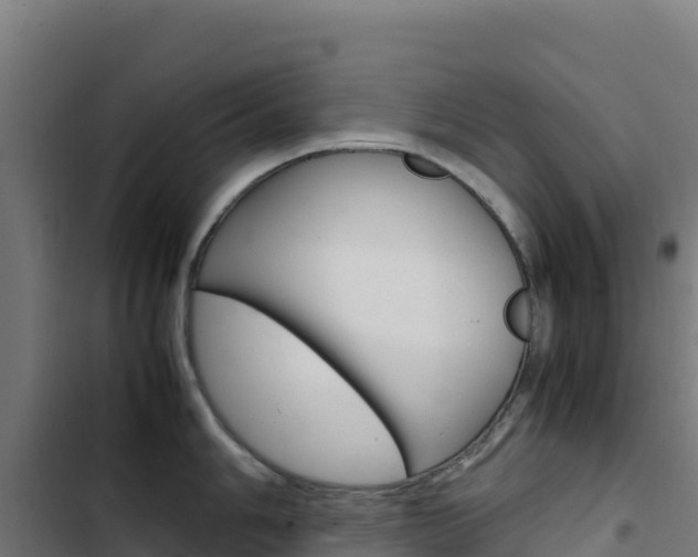X0000103451006200809121121