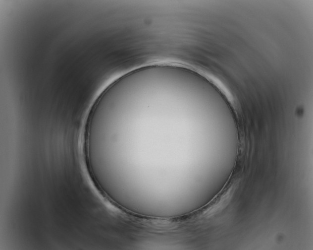 X0000103451007200809121121
