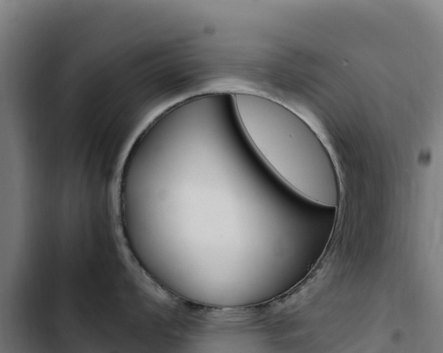 X0000103451008200809121121
